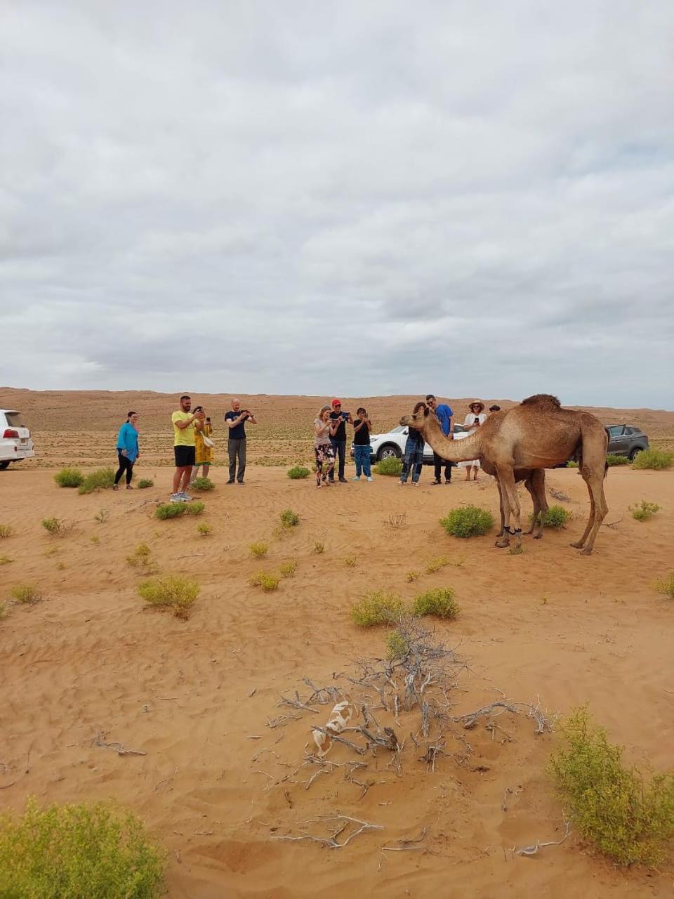 Sandglass Camp Badīyah Екстериор снимка